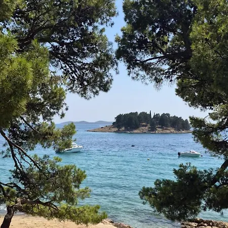 Panorama *